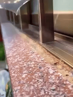 Sellador Adhesivo Transparente EVERQUEEN™