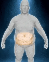 Pack 510 Parches Kinoki Detox